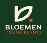 Afbeelding zonder ALT